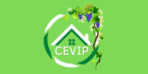 CEVIP_2022