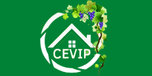 CEVIP_2022_02020